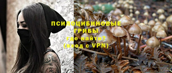 a pvp Алексин