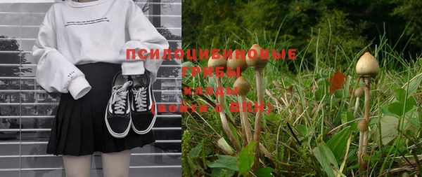 мяу мяу мука Алексеевка