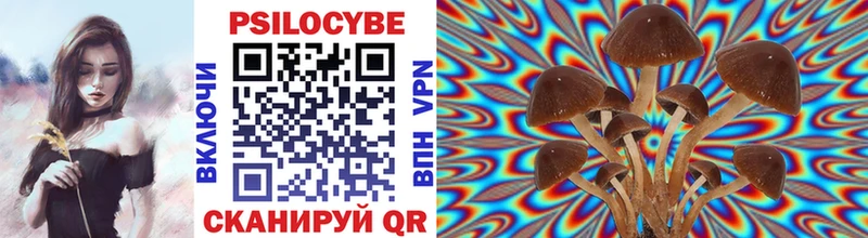 Галлюциногенные грибы Cubensis  Починок 